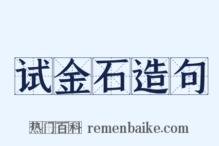 试金石造句是什么意思的图片